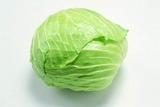 卷心菜