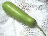 夜开花